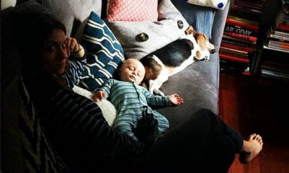 sofia karvela -mwro, skylos