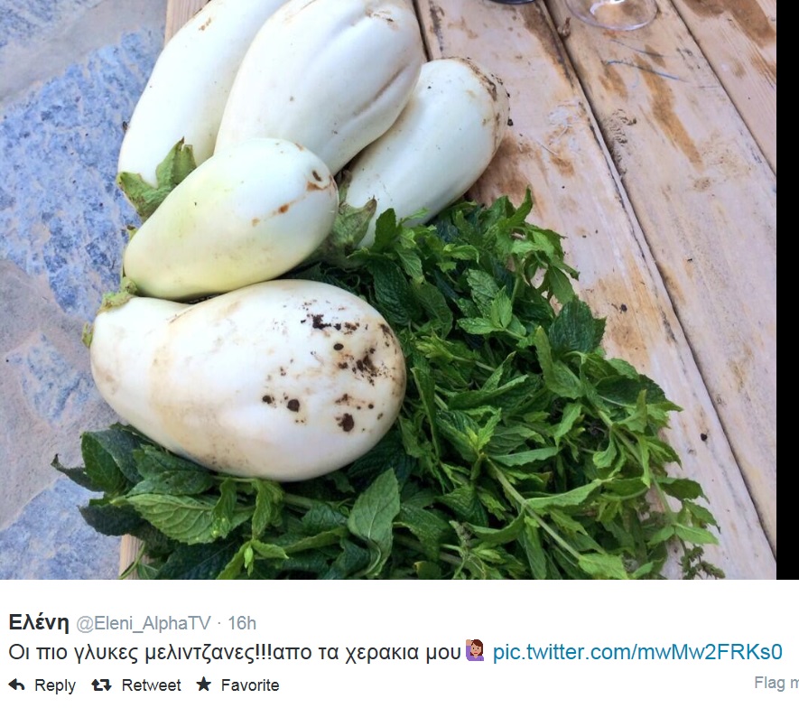 eleni-menegaki-melitzanes, peoplegreece