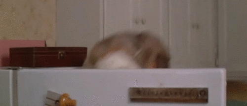 gernao mama stadio 5