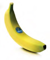 chiquita mpananes, eco, green