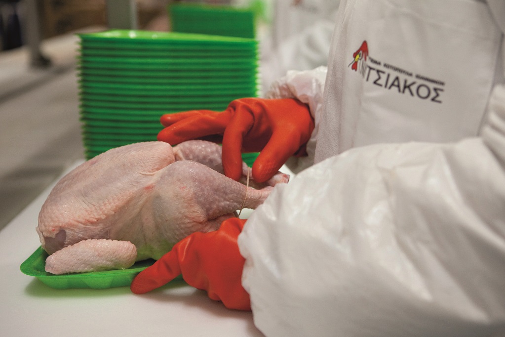 nisiakos, kotopoula, go green