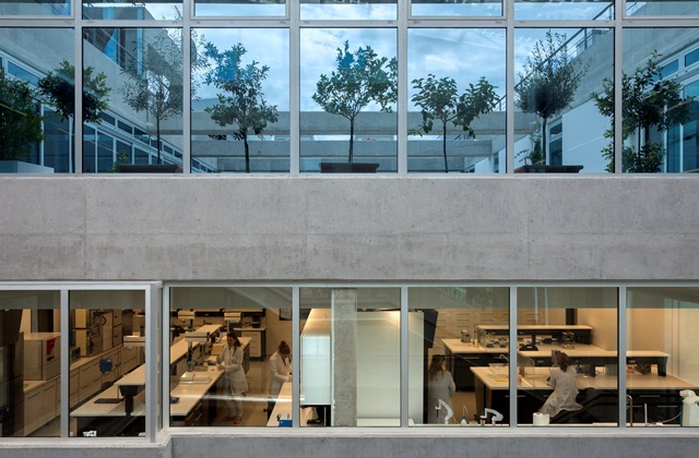 beehives-visit-,apivita, gogreen