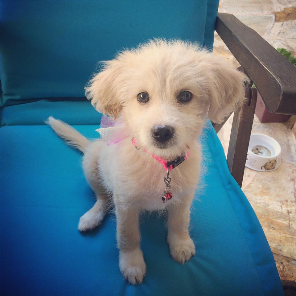 Natalia-Germanou, praksi, sugkinisi, peopelgreece