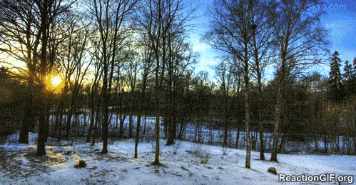 lathi pou afinoum episo beauty seasons