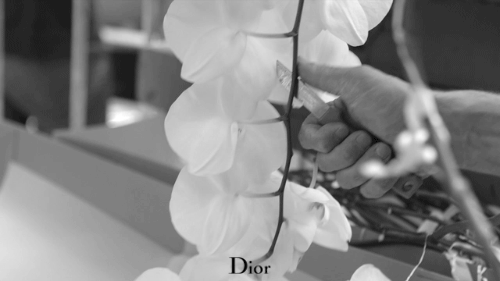 miss dior natalie portman5