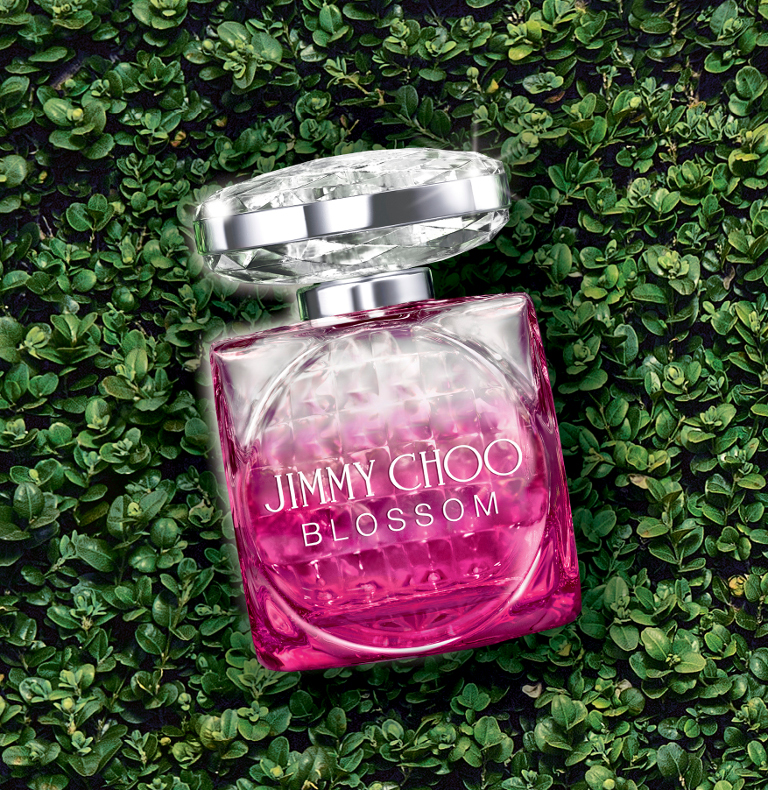 jimmy choo blossom visual cover