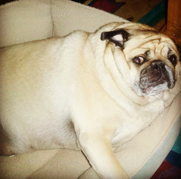 Athina Andrelos, instagram account