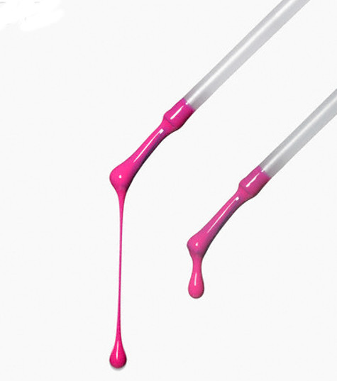 pinela vernikia ximena