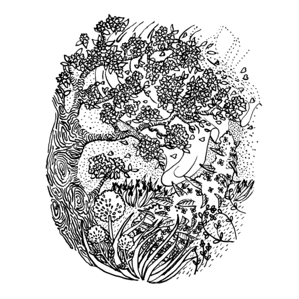 florabellio illustration diptyque2
