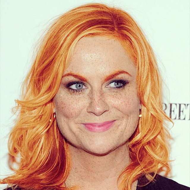 amy poehler kokkina mallia