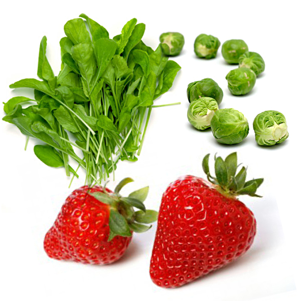 diatrofi, dimitris grigorakis, diatrofologos