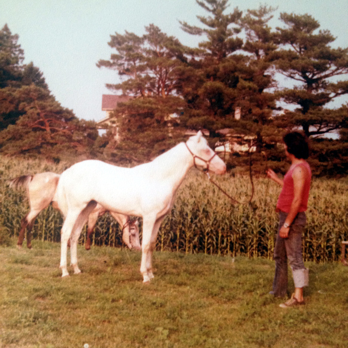 daddy horse christina