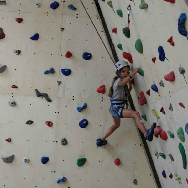 anarixisi, navarino challenge