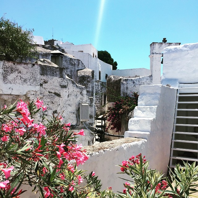 Jenny Mpalatsinou, patmos