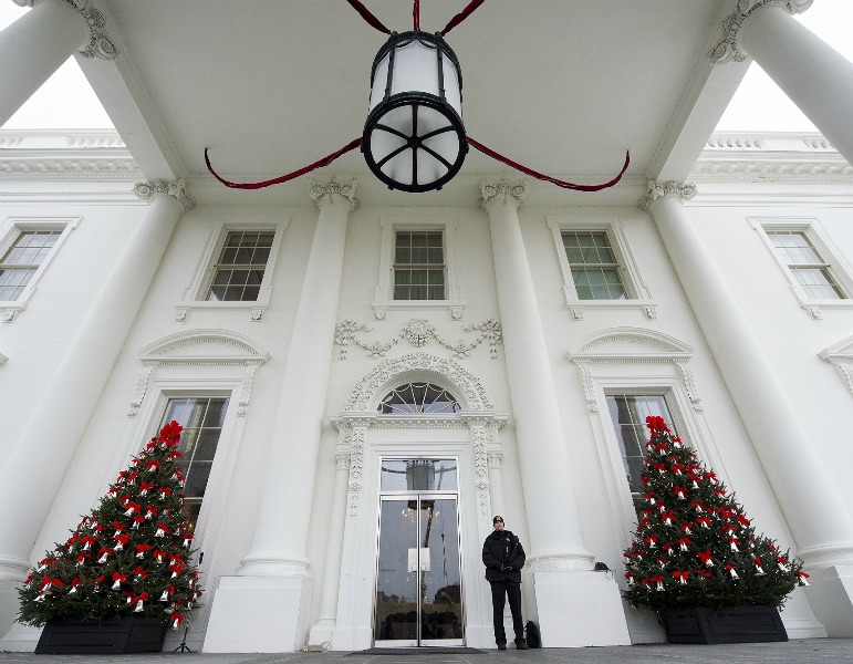 white house, christmas, decoration 