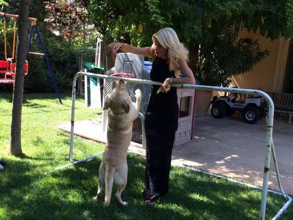 newego_LARGE_t_1401_106914746_type13085