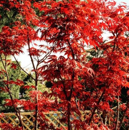 newego_LARGE_t_1401_106914771_type13085 (1)