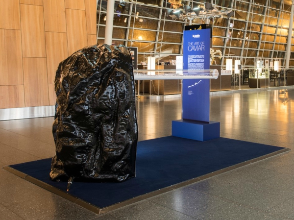 la_prairie_solidfrequenciesbypaulcoudamy