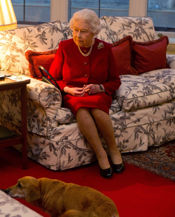 Getty Images, κόργκι