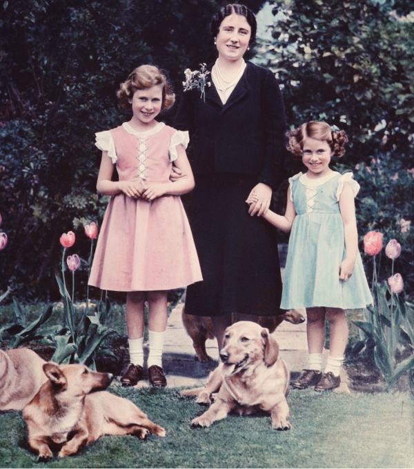 Getty Images, κόργκι