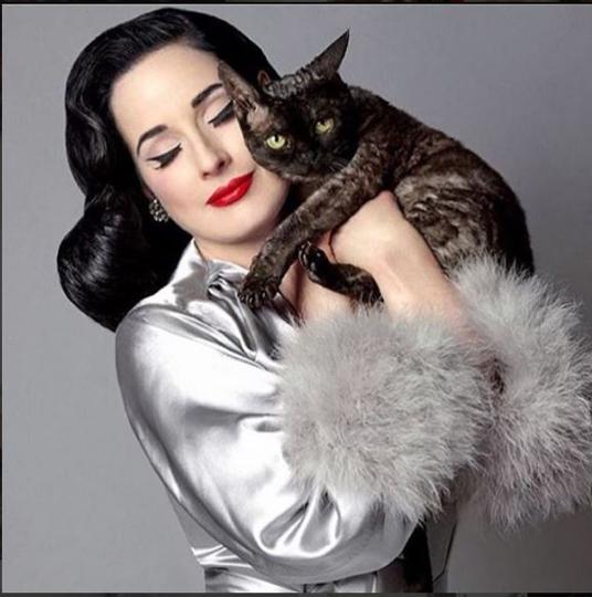 dita