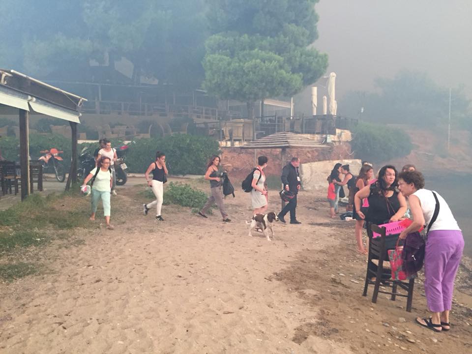 37700898_10216770746128953_505024652918128640_n