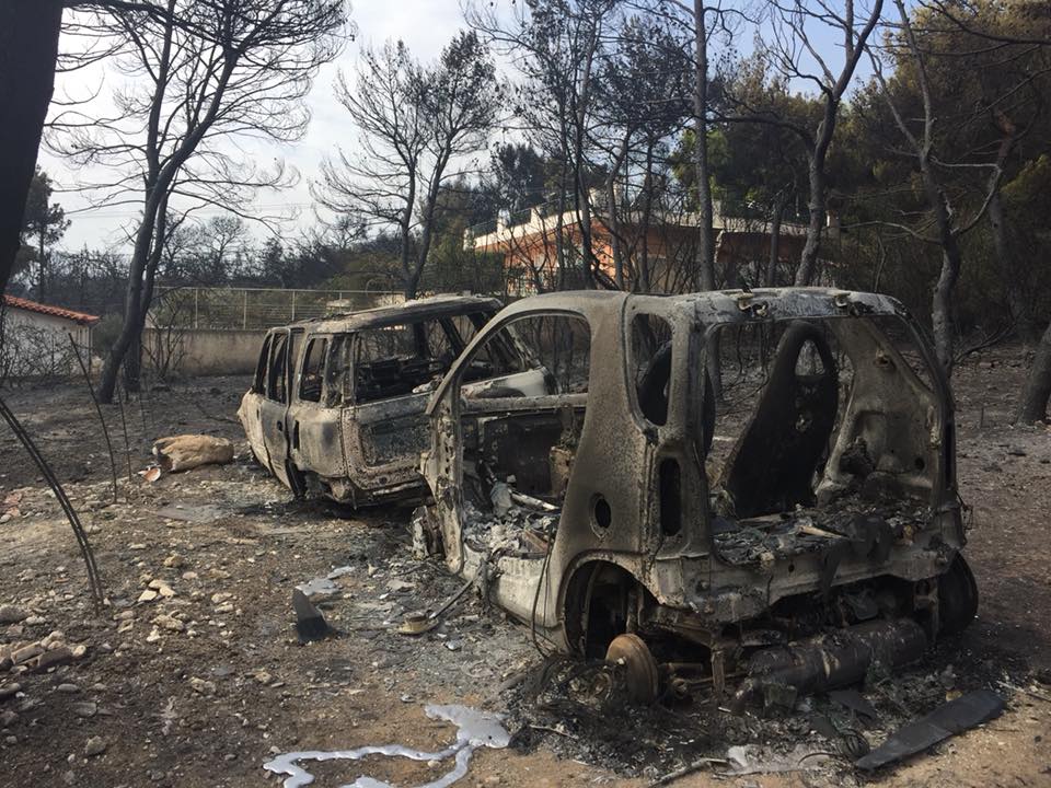 37742191_10216774486662464_2921314219322245120_n