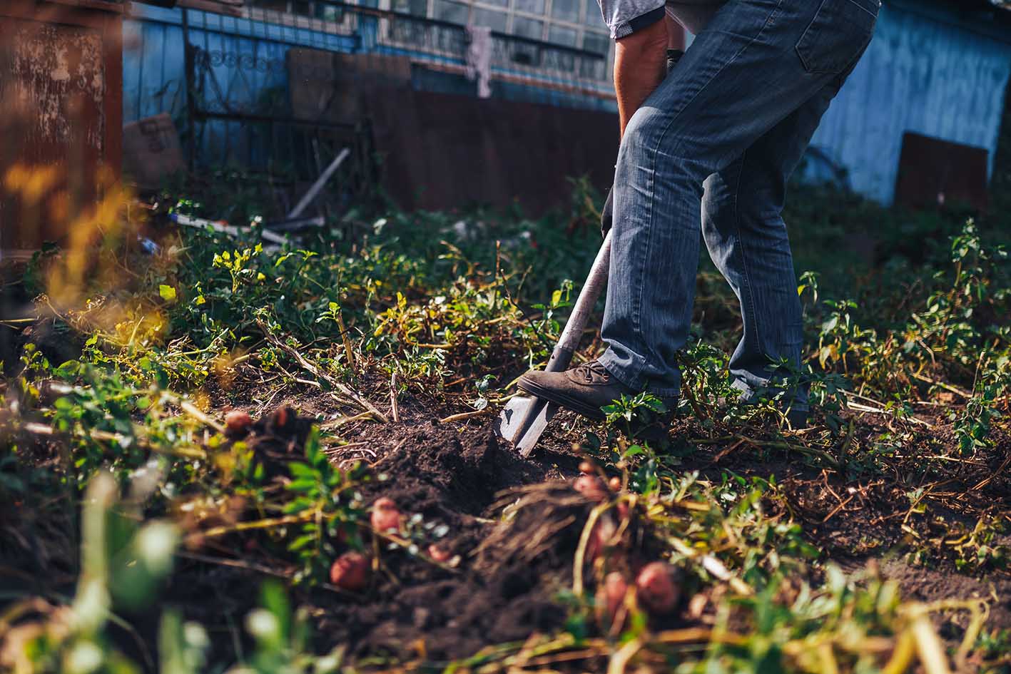 Αγρότης σκάβει τον κήπο