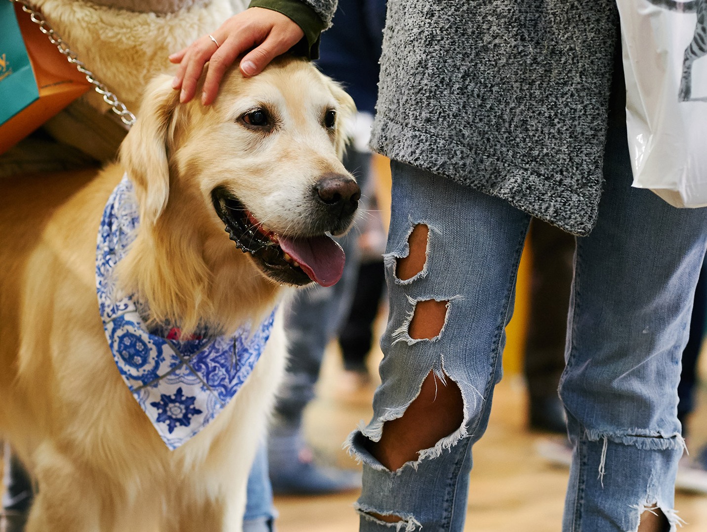 Σκύλος με την αφεντικίνα του