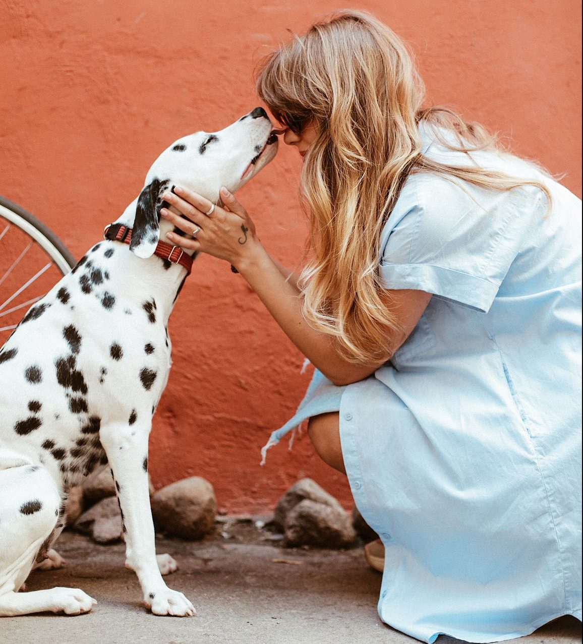 Σκύλος με κορίτσι