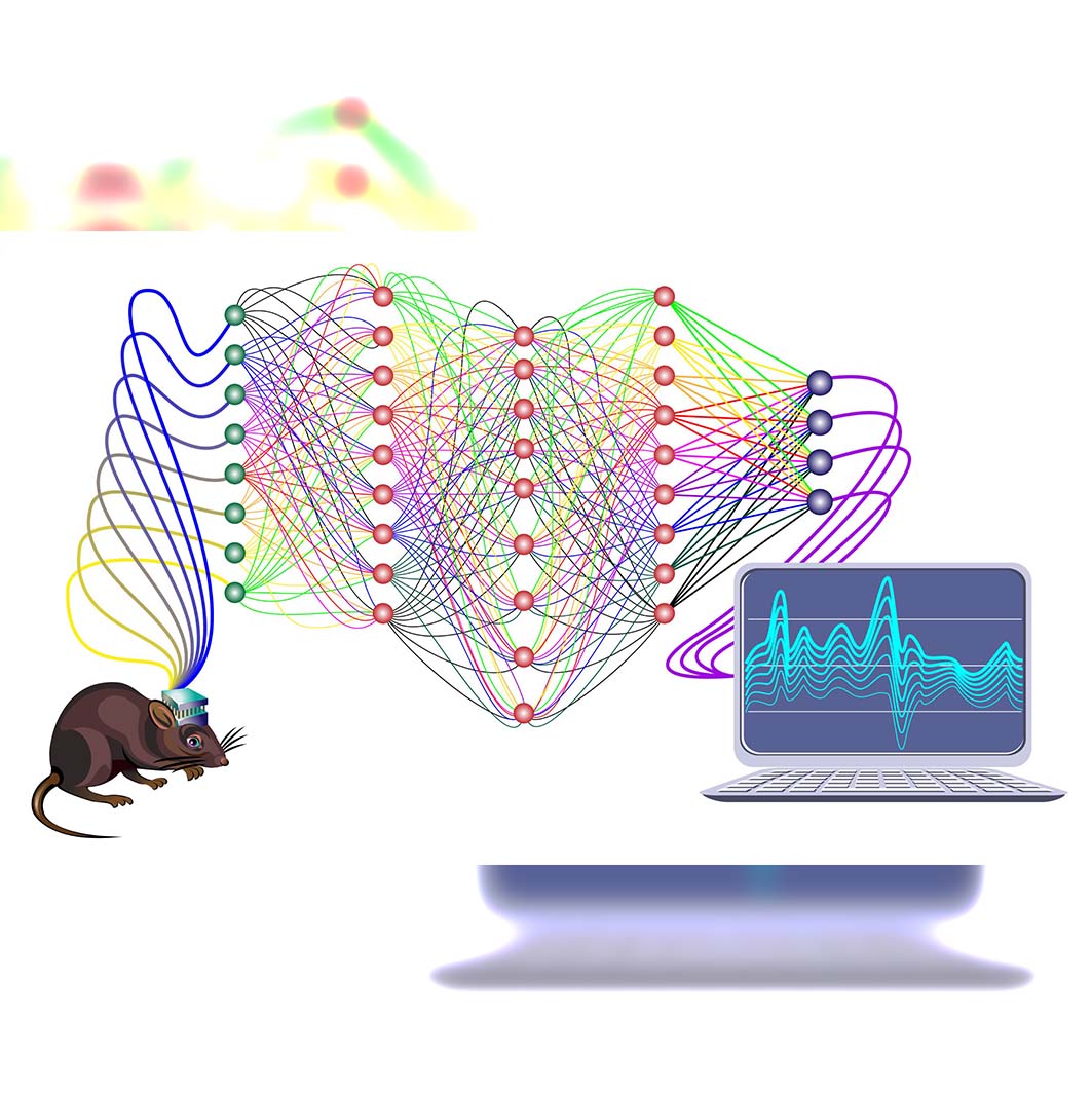 Ιατρική έρευνα εγκέφαλος