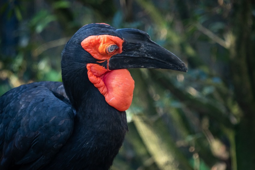 Αυτή η εικόνα δεν έχει ιδιότητα alt. Το όνομα του αρχείου είναι koraki-194905634_s.jpg