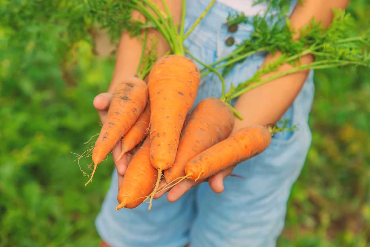 Γυναίκα κρατά καρότα