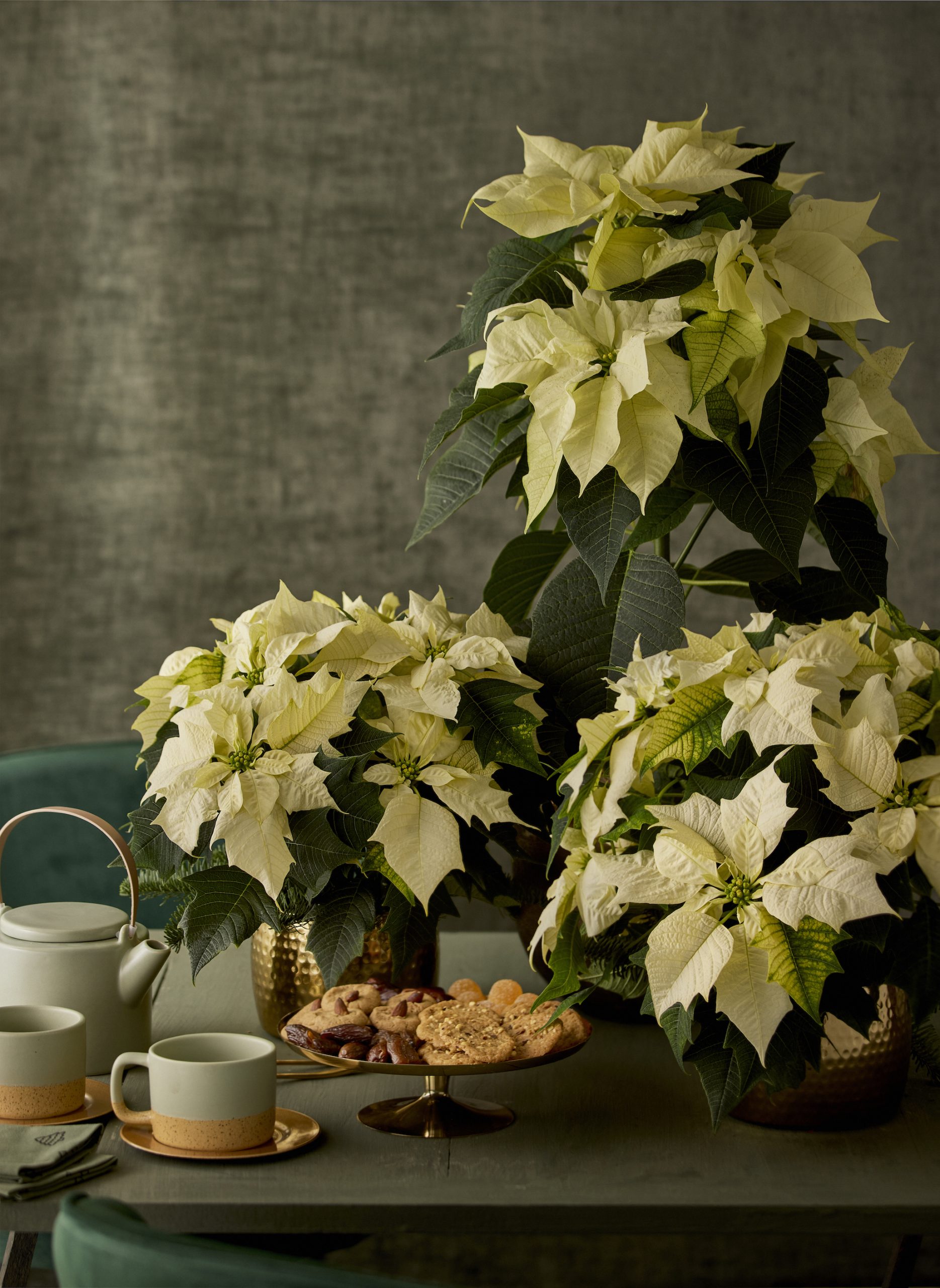 Διακόσμηση για χριστουγεννιάτικο τραπέζι