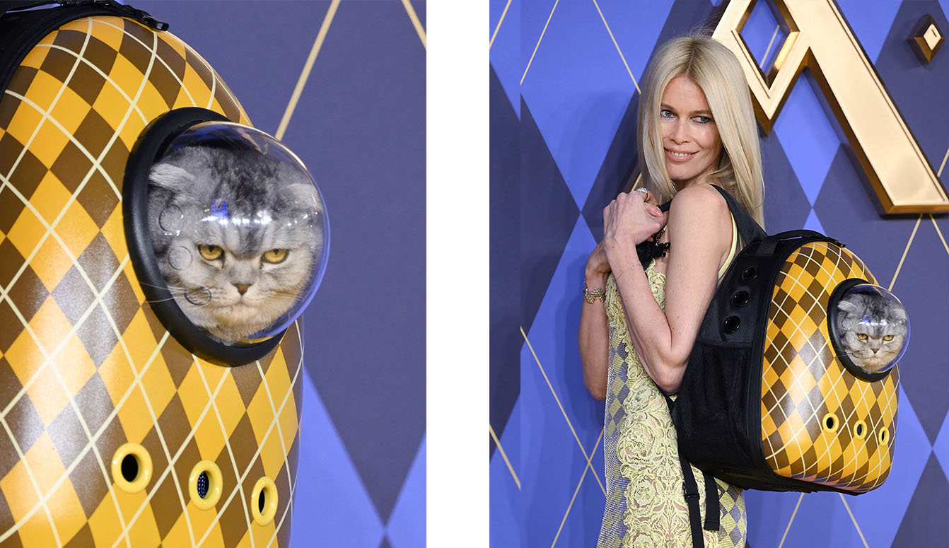 H Claudia Schiffer και ο γάτος της Chip στην πρεμιέρα της ταινίας "Argylle" στο Λονδίνο.