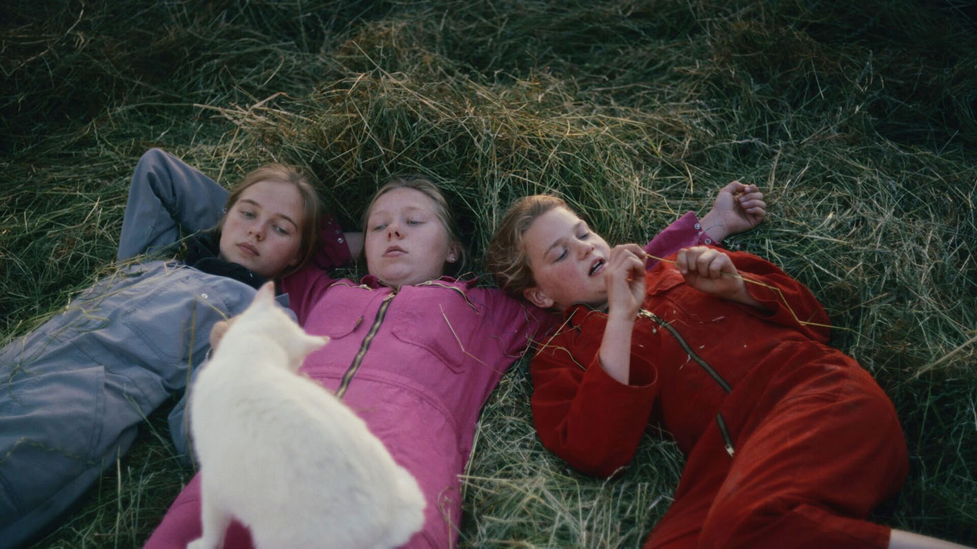 Η Λεονί, ο Σκιτ και τα γουρουνάκια / Leonie, Skeet & the Piglets, Jip Heijenga, Βέλγιο, 2023, 15’. Βραβείο Ντοκιμαντέρ Μικρού & Μεσαίου Μήκους της Κριτικής Επιτροπής Παιδιών έως 12 ετών.