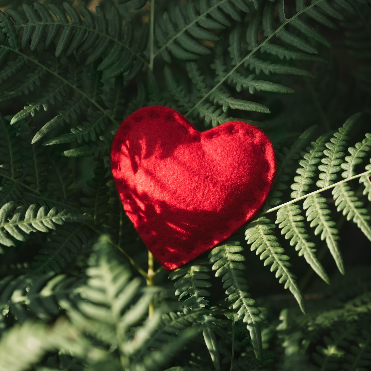 Ημέρα Αγίου Βαλεντίνου