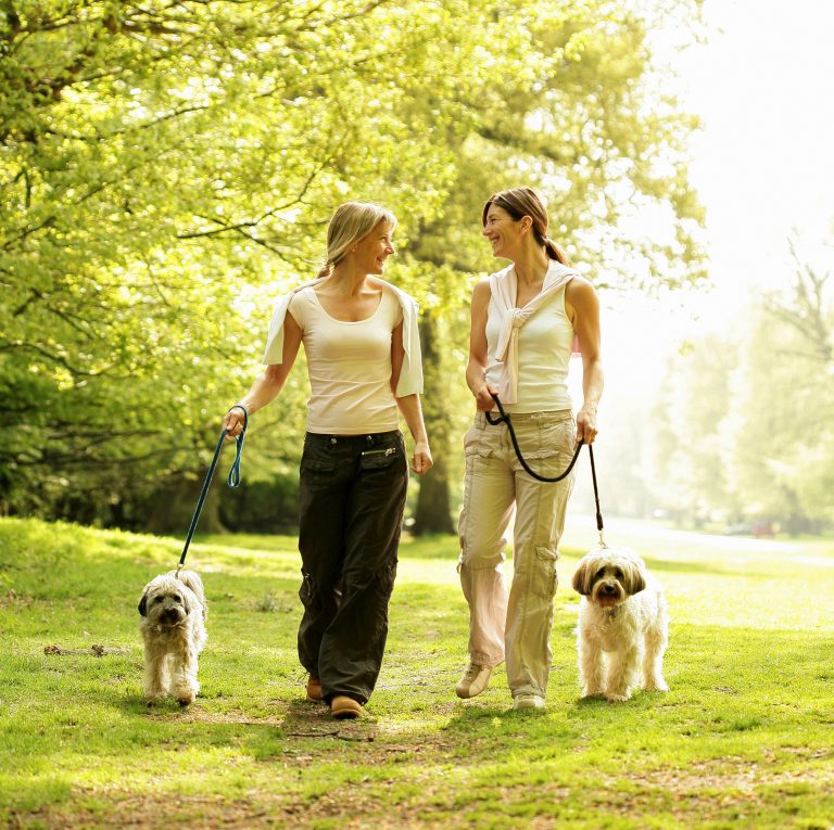 Γυναίκες βγάζουν βόλτα τα σκυλιά τους