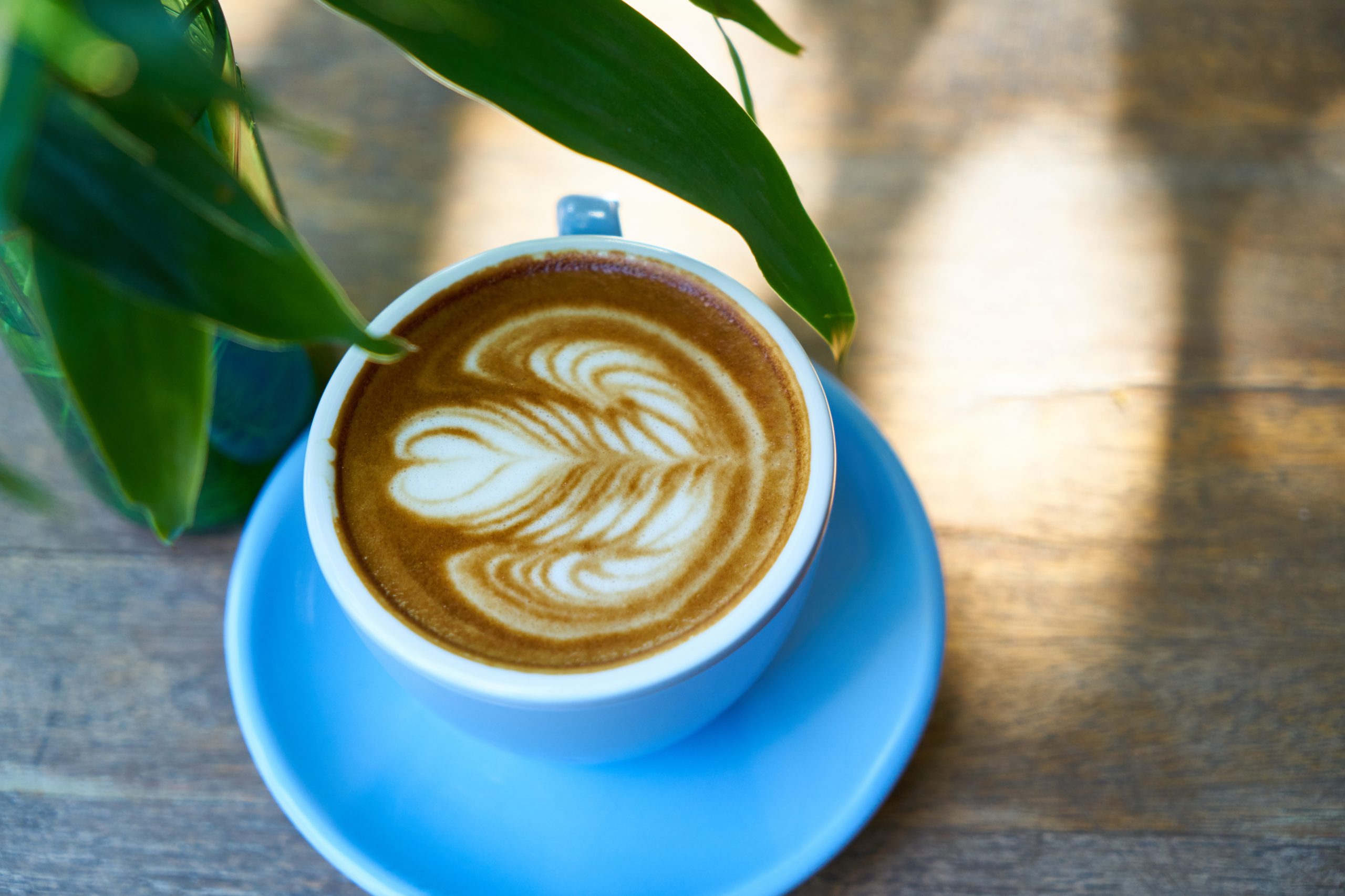 Φλυτζάνι καφέ