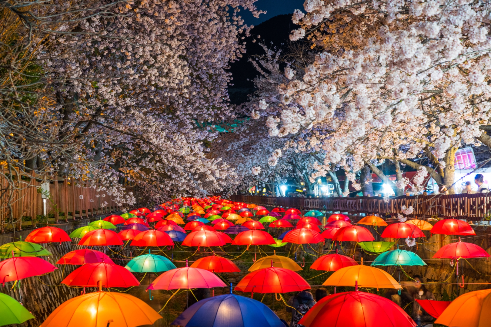 Jinhae-Gunhangj-Cherry-Blossom-Festival