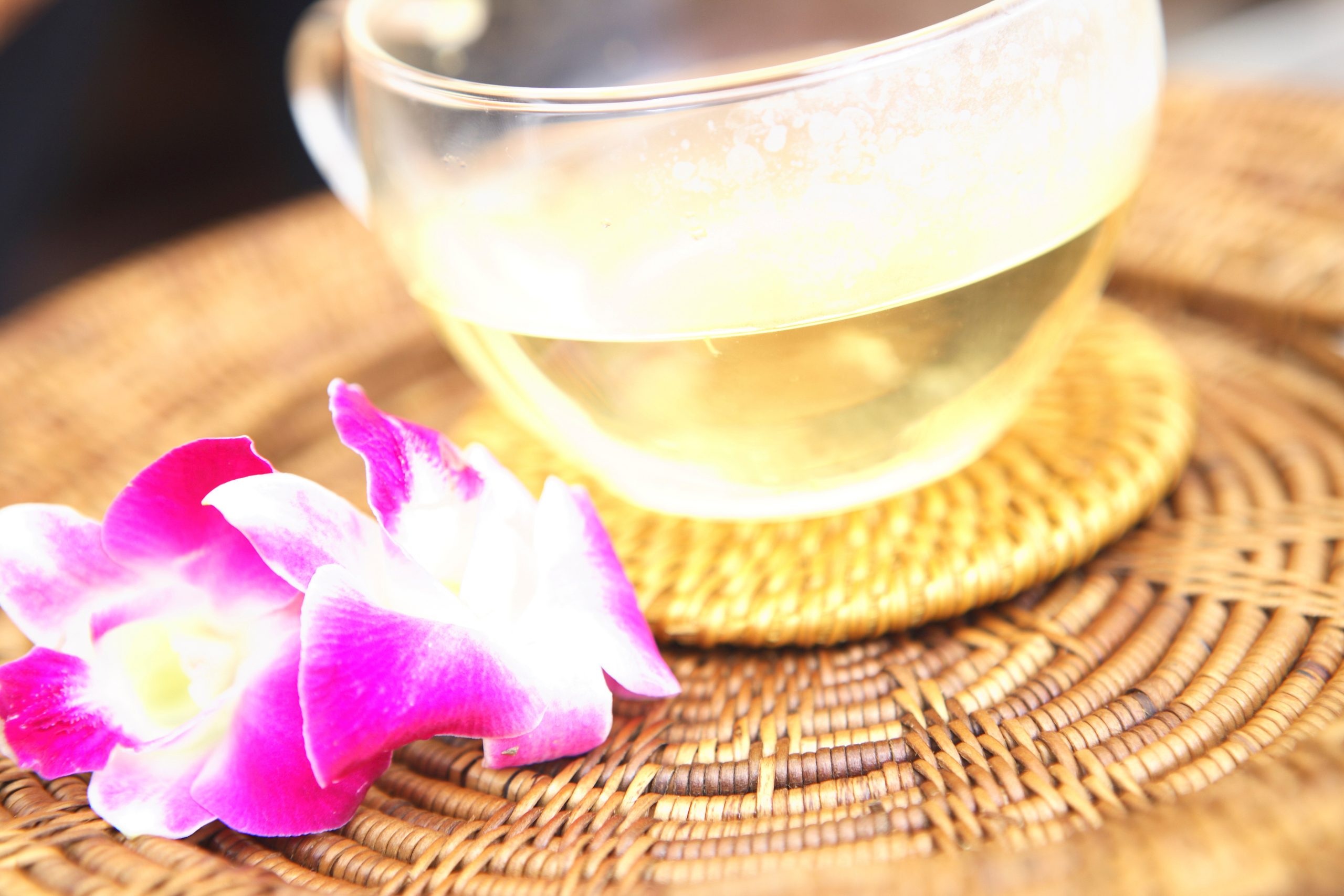 kombucha ρόφημα