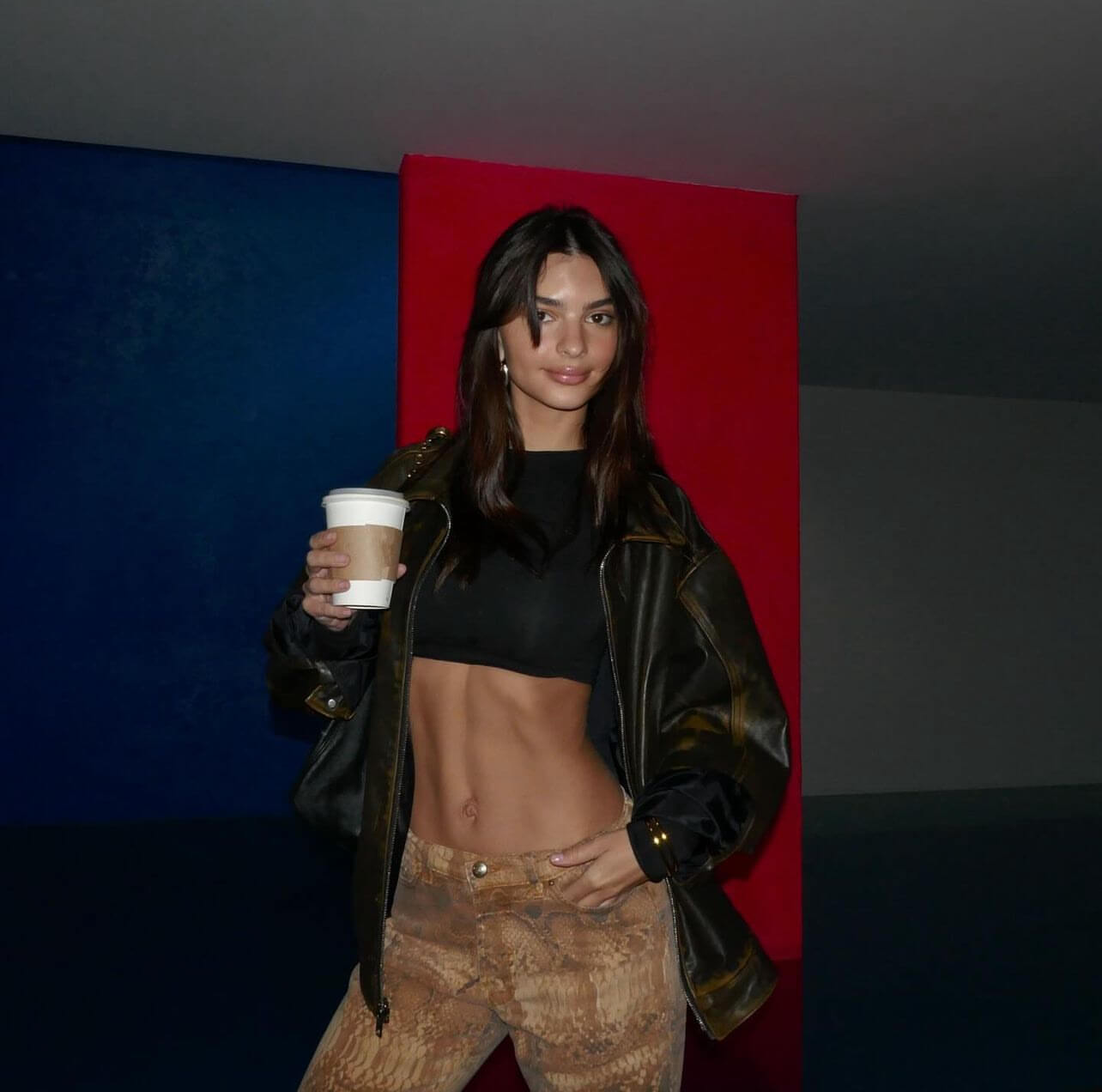 Η Emrata με δερμάτινο τζάκετ και crop top