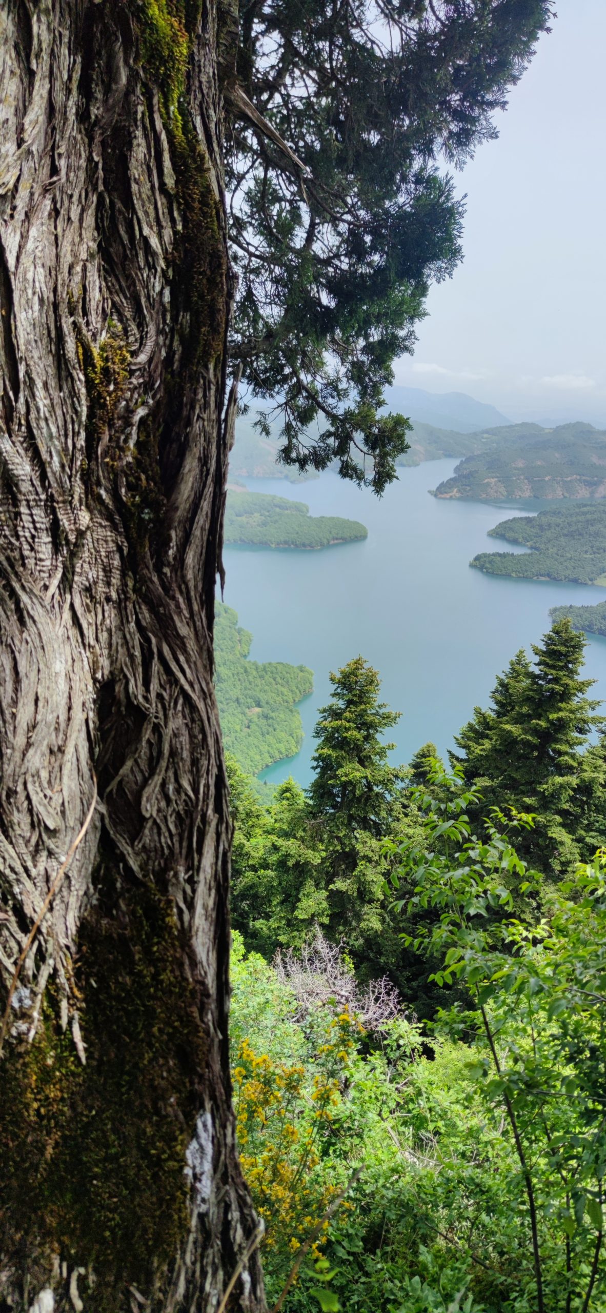 Λίμνη Πλαστήρα