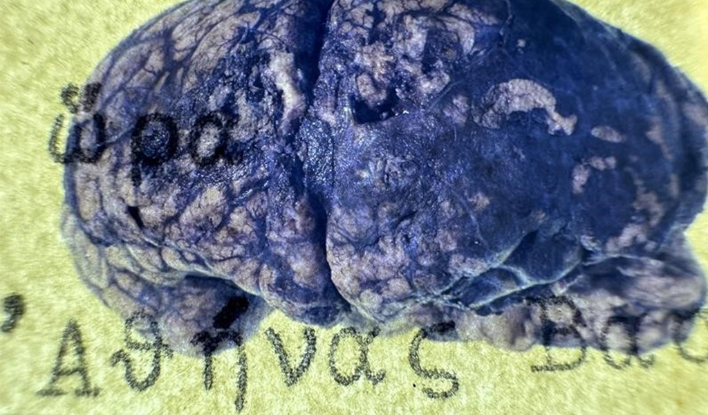 ΕΥΑ ΣΤΕΦΑΝΗ. ΤΟ ΦΩΤΕΙΝΟ ΣΠΗΛΑΙΟ