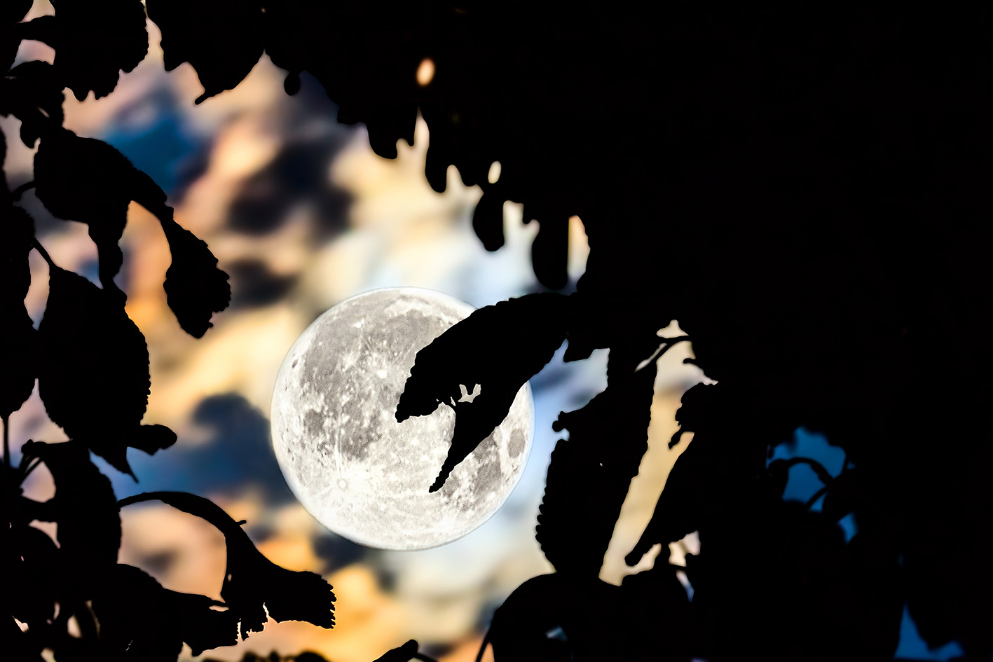 Φεγγάρι πανσέληνος