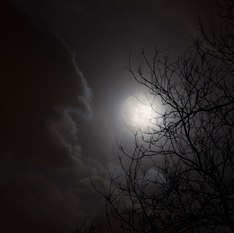 Πανσέληνος