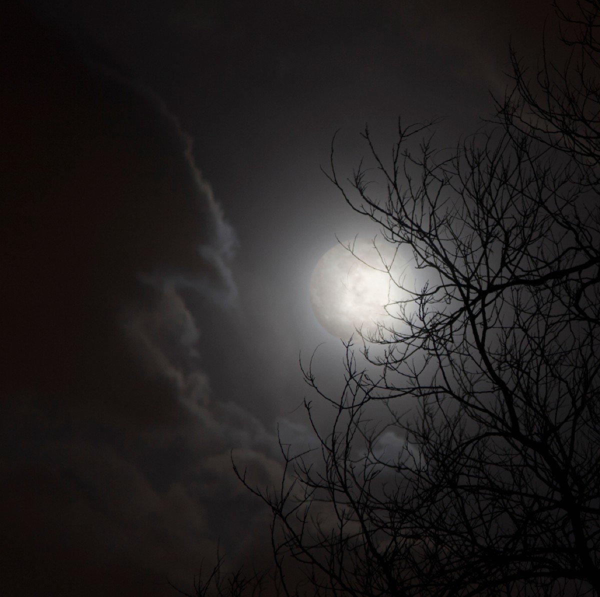 Πανσέληνος