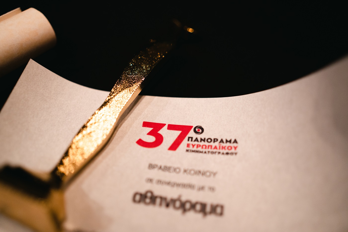 Φωγογραφία από την απονομή με το βραβείο