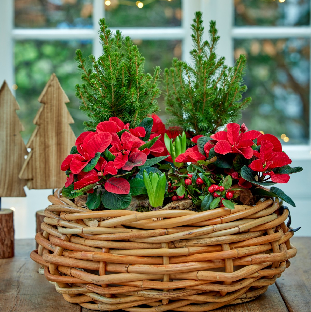 Αλεξανδρινά για χριστουγεννιάτικη διακόσμηση