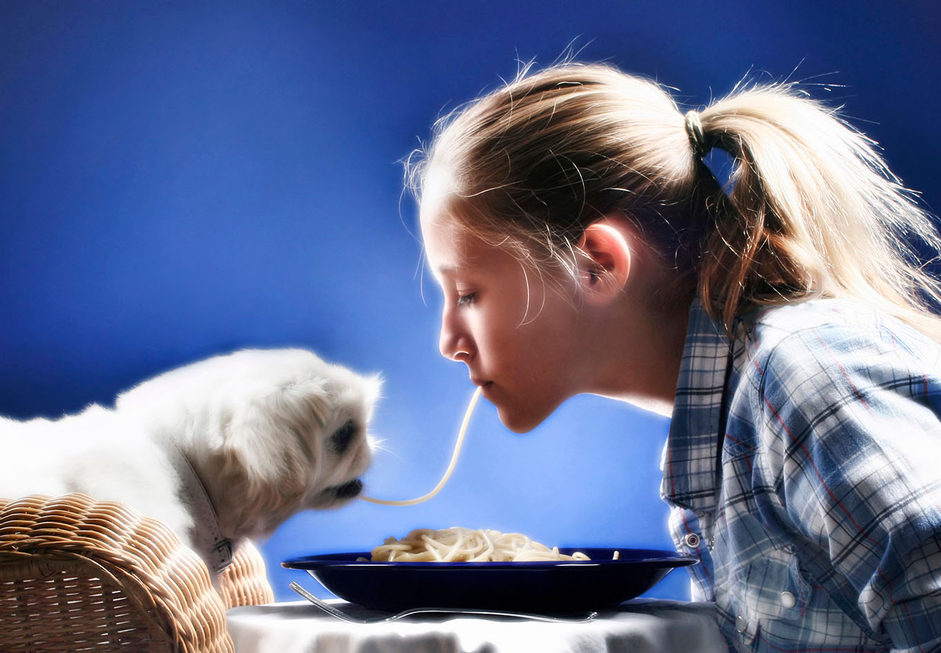 Κορίτσι με σκύλο τρώνε μακαρόνια μαζί